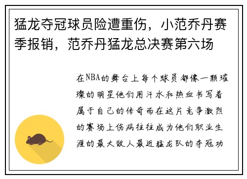 猛龙夺冠球员险遭重伤，小范乔丹赛季报销，范乔丹猛龙总决赛第六场